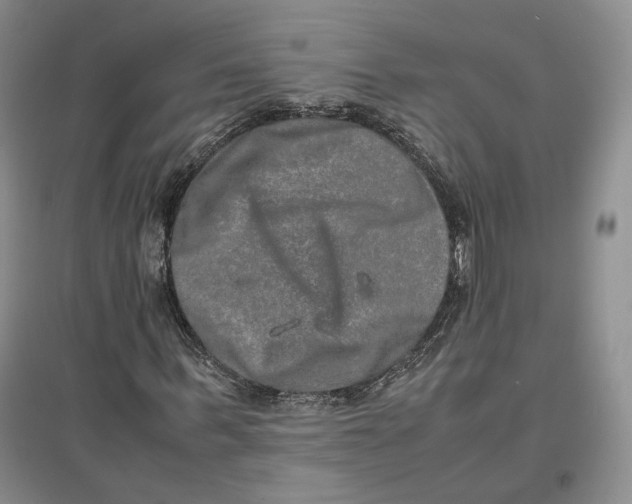 X0000096670963200802261448