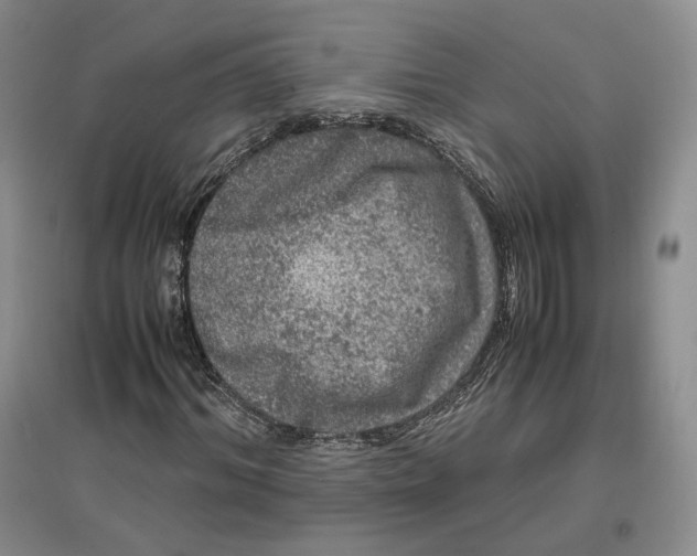 X0000096670964200802261448