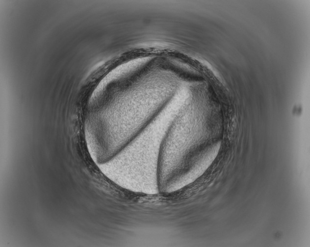 X0000096670967200802261448