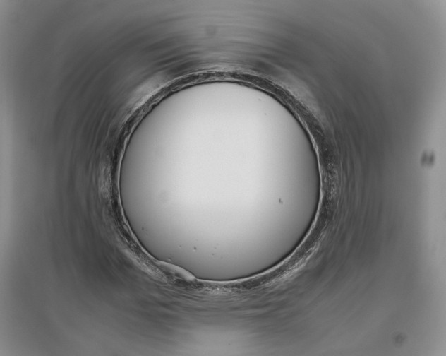 X0000096670969200802261448