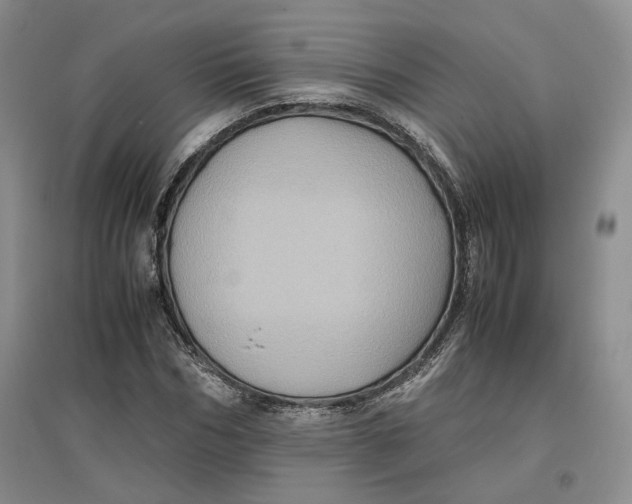 X0000096670970200802261448