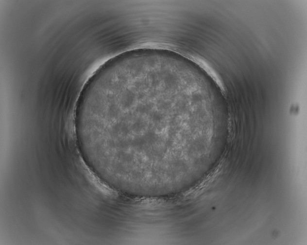 X0000096670972200802261448