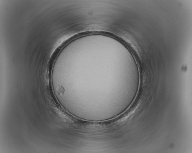 X0000096670973200802261448