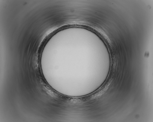 X0000096670974200802261448