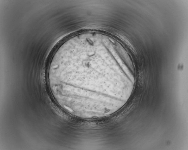 X0000096670976200802261448