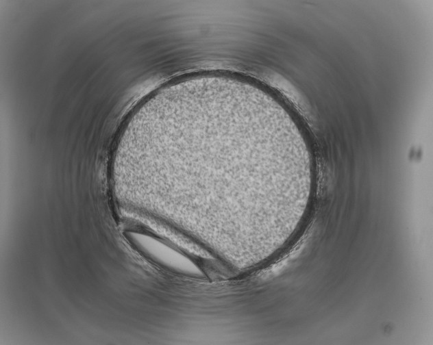 X0000096670977200802261448