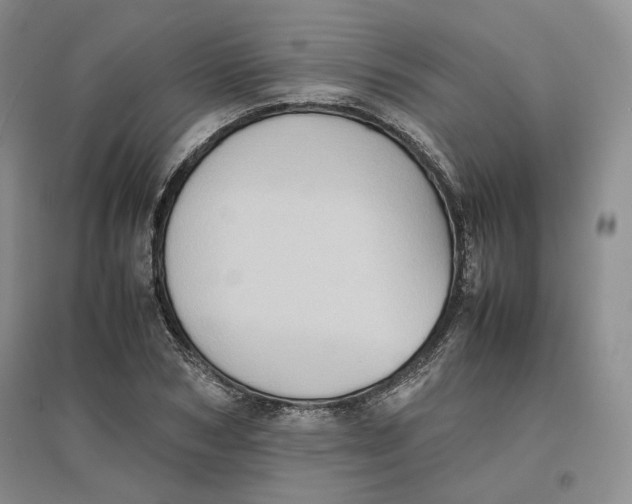 X0000096670978200802261448