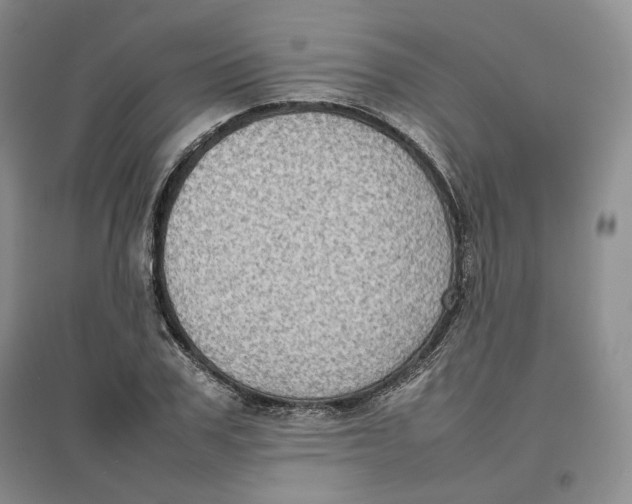 X0000096670979200802261448