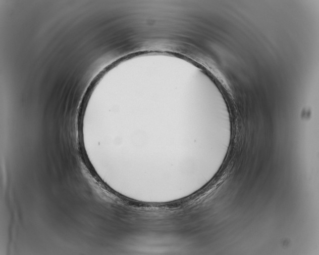 X0000096670980200802261448