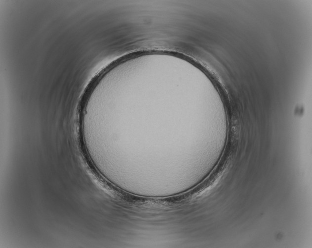 X0000096670981200802261448