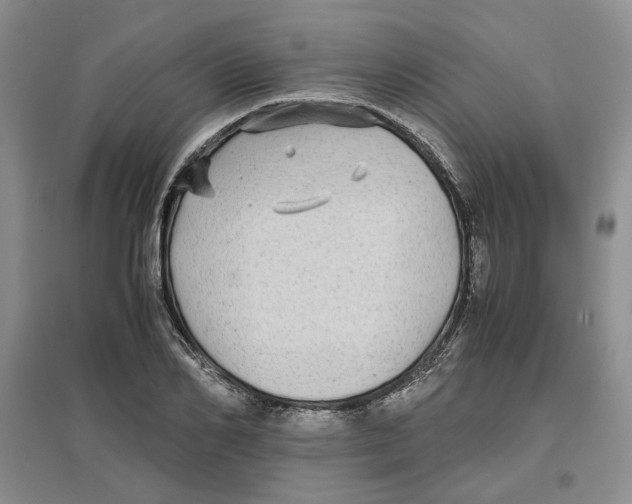 X0000096670982200802261448