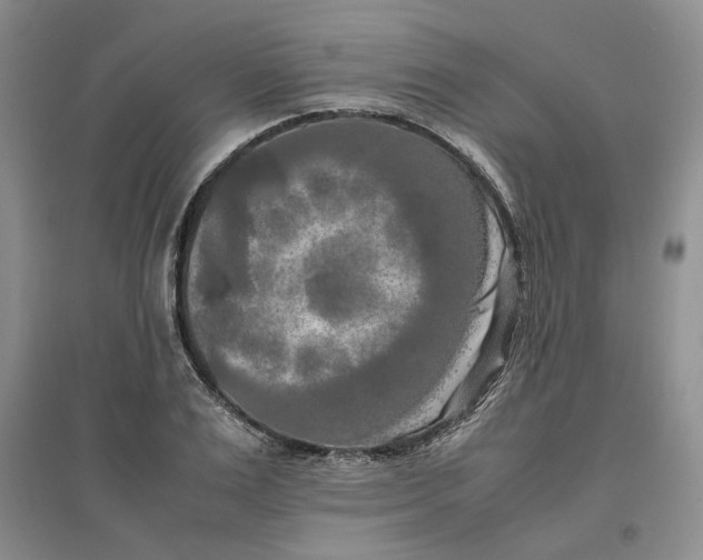 X0000096670983200802261448