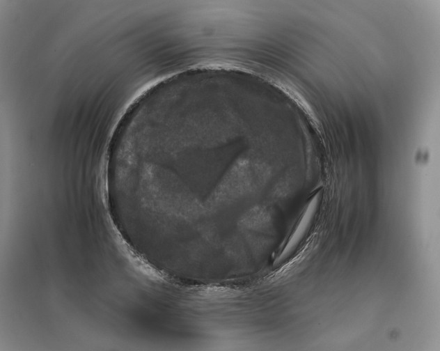 X0000096670984200802261448