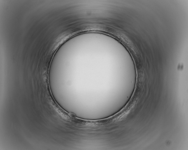 X0000096670985200802261448