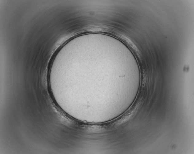 X0000096670986200802261448