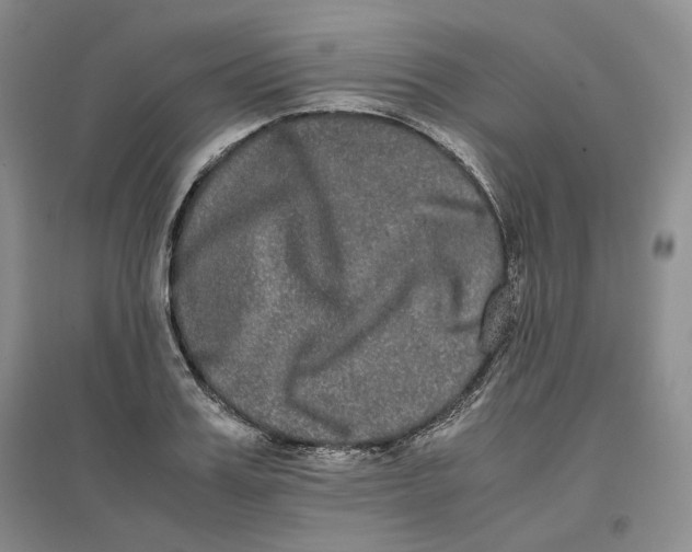 X0000096670987200802261448