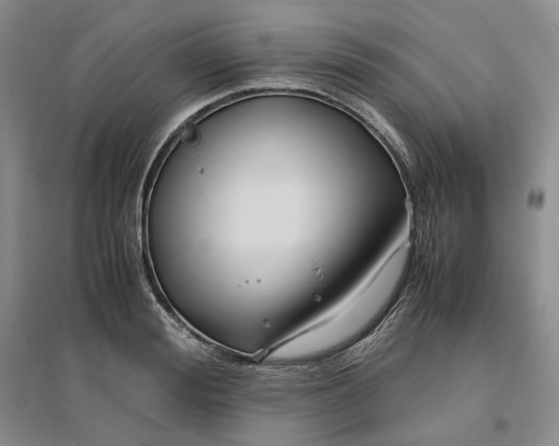 X0000096670988200802261448