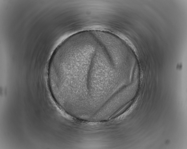 X0000096670989200802261448