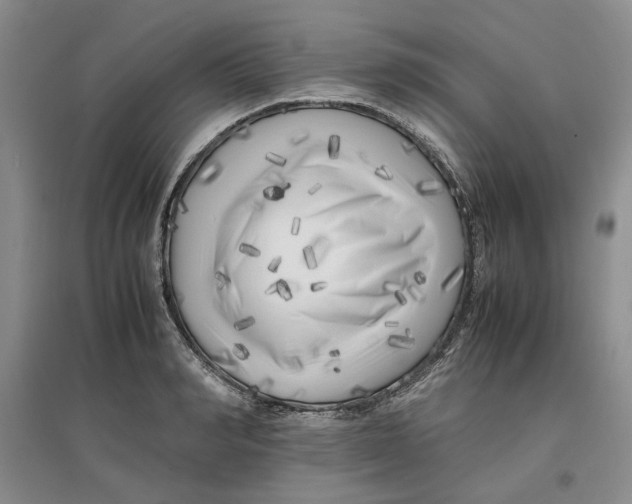 X0000096670990200802261448