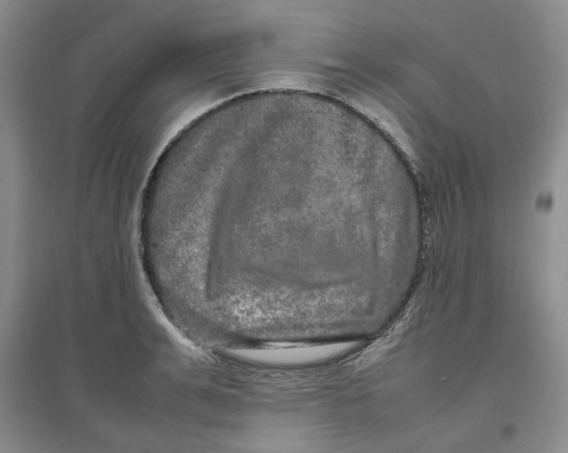 X0000096670991200802261448