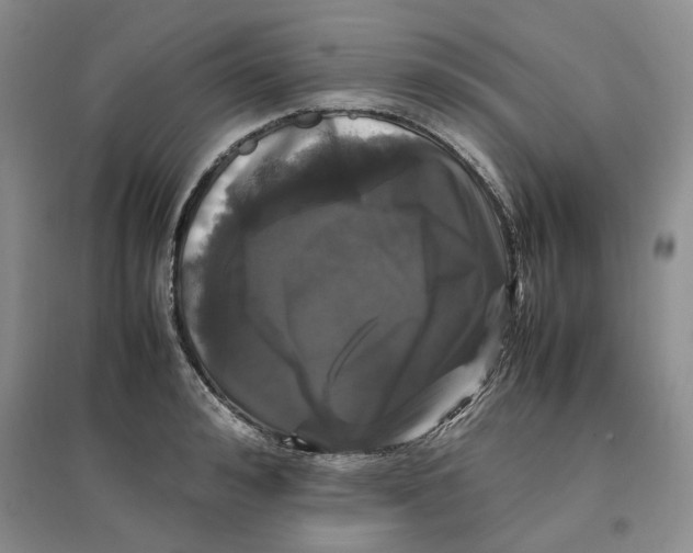 X0000096670992200802261448