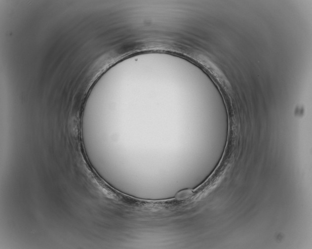 X0000096670993200802261448