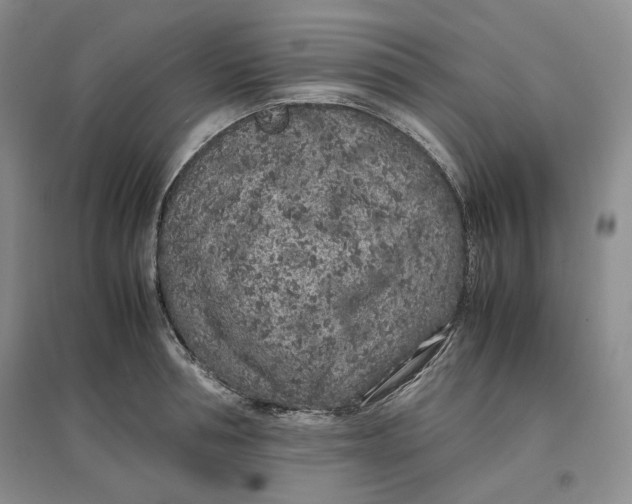 X0000096670994200802261448