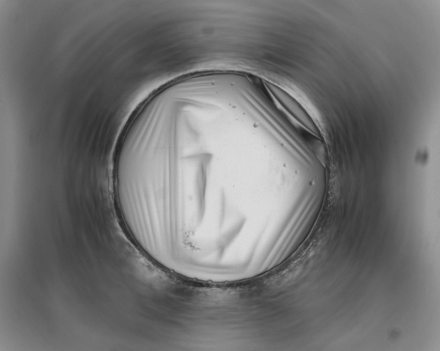 X0000096670996200802261448