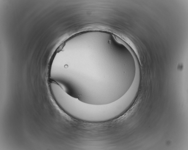 X0000096670997200802261448