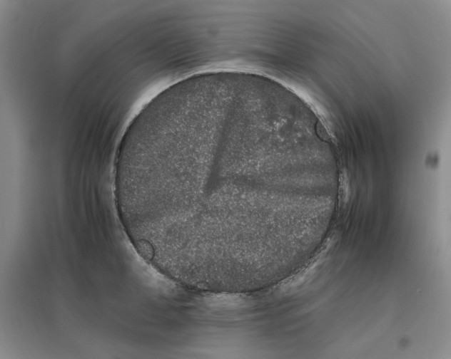 X0000096670998200802261448