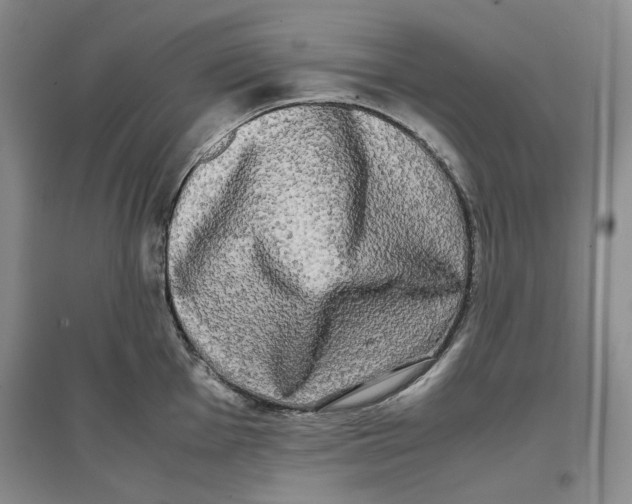 X0000096671001200802261448