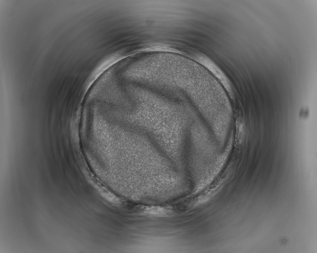 X0000096671002200802261448