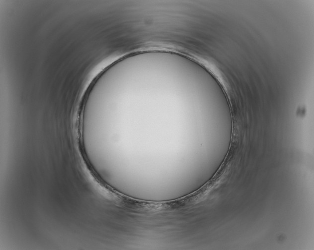 X0000096671003200802261448