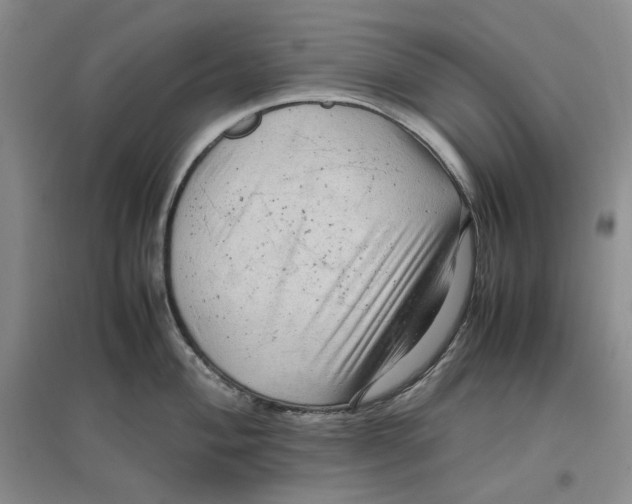 X0000096671004200802261448