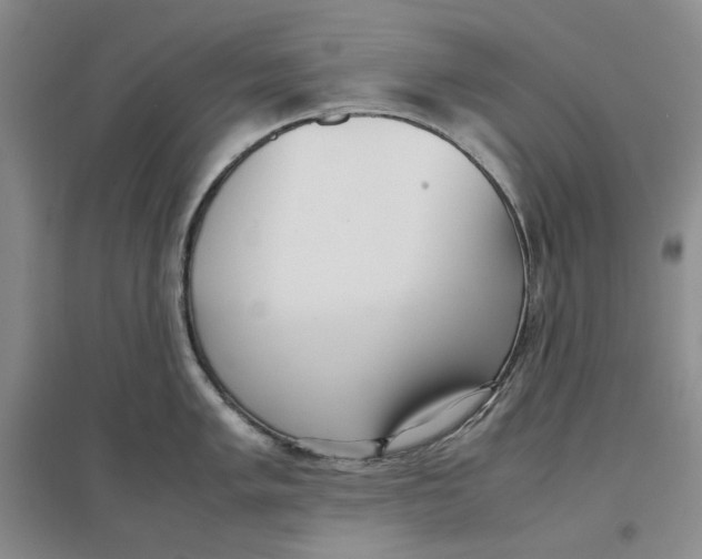 X0000096671005200802261448