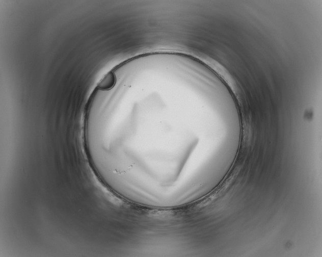 X0000096671006200802261448