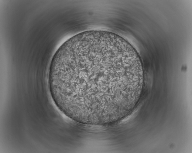 X0000096671007200802261448