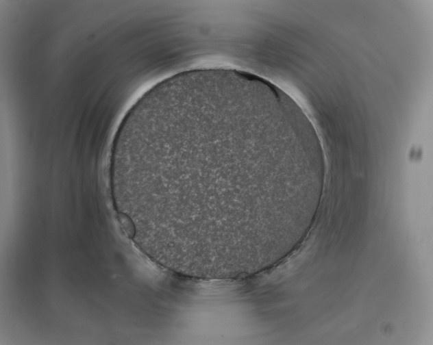 X0000096671008200802261448