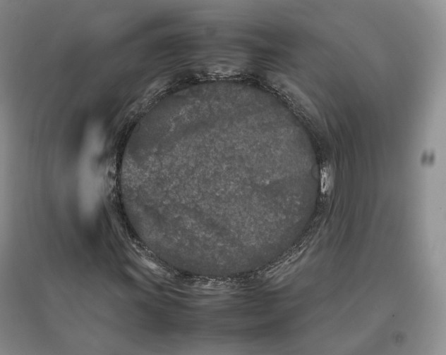 X0000096671011200802261447