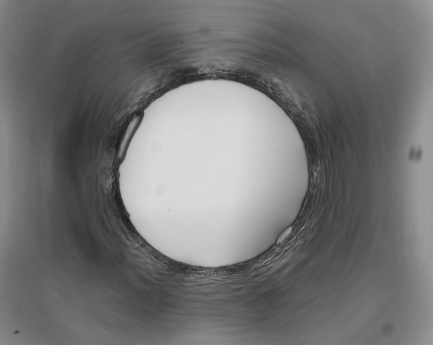 X0000096671012200802261447