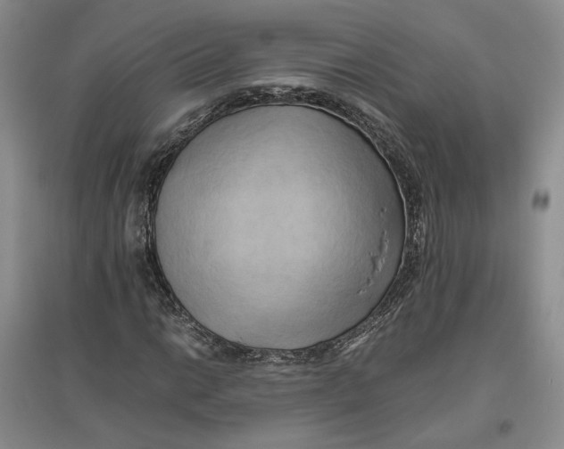 X0000096671014200802261447