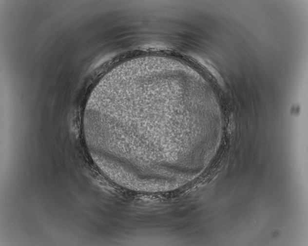 X0000096671015200802261447