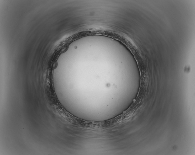 X0000096671016200802261447