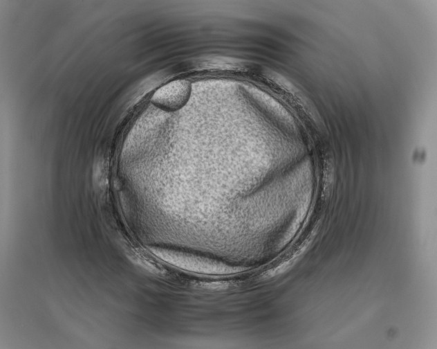 X0000096671017200802261447