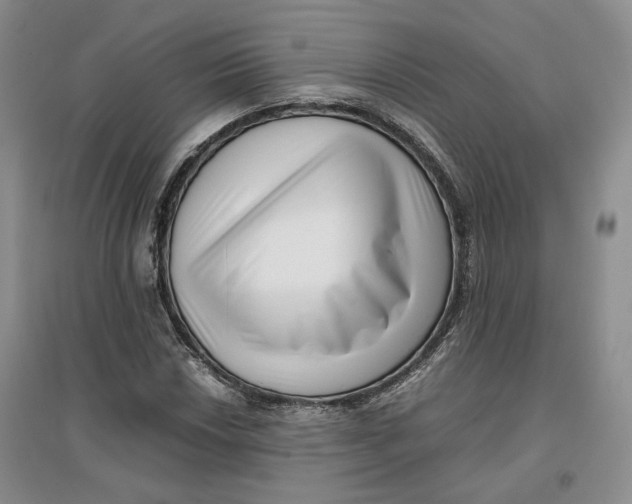 X0000096671018200802261447