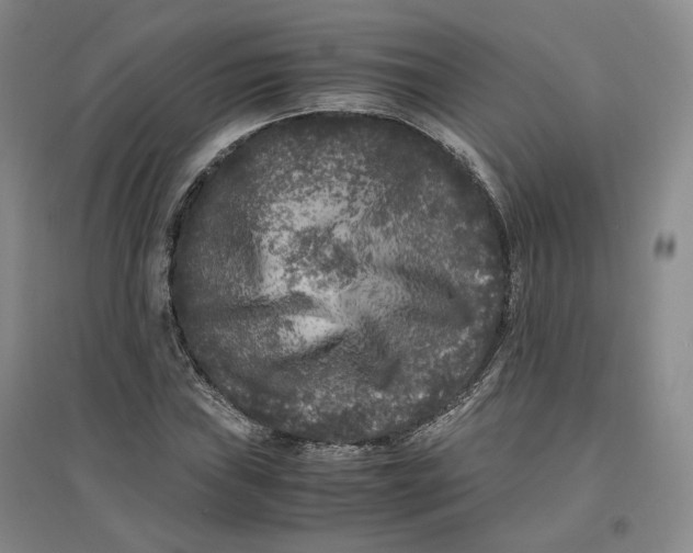 X0000096671019200802261447