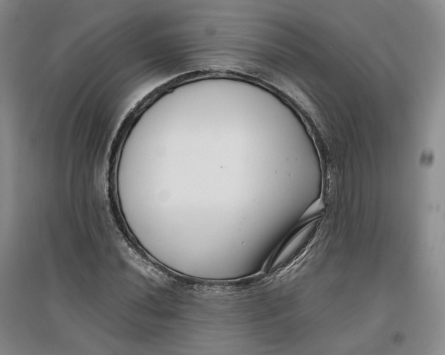 X0000096671020200802261447