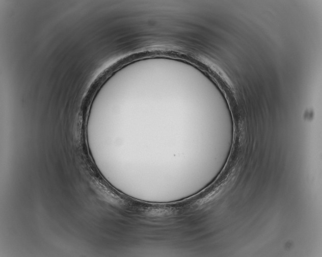 X0000096671021200802261447