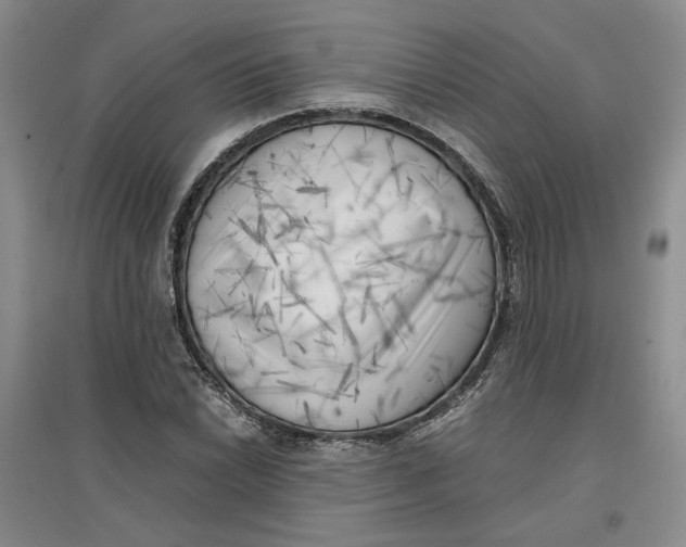 X0000096671022200802261447