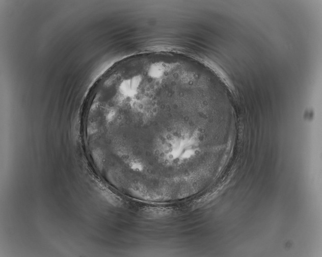 X0000096671023200802261447